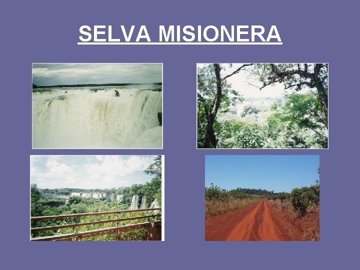SELVA MISIONERA 