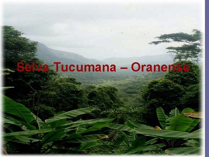 Selva Tucumana – Oranense 