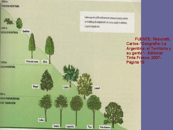 1] FUENTE: Reboratti, Carlos-“Geografía- La Argentina: el Territorio y su gente”- Editorial Tinta Fresca-