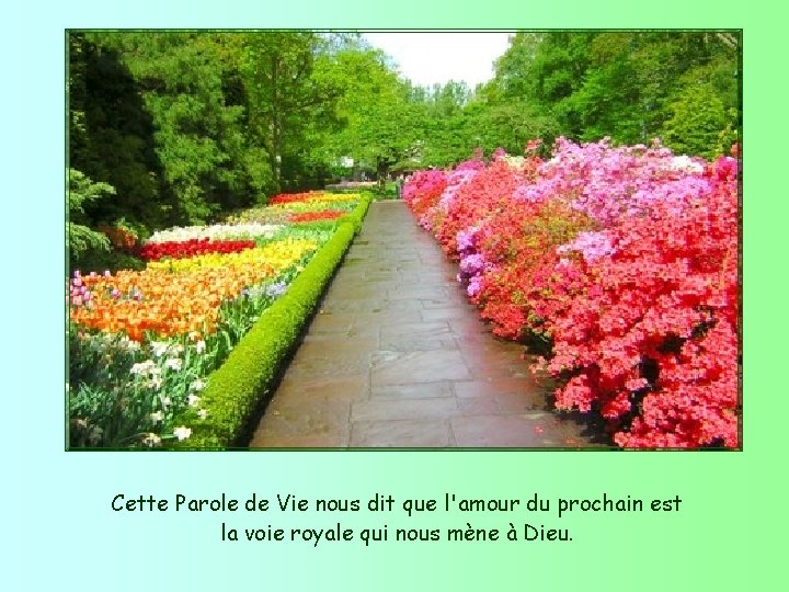 Cette Parole de Vie nous dit que l'amour du prochain est la voie royale