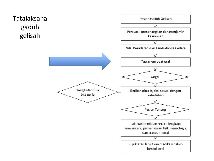 Tatalaksana gaduh gelisah 