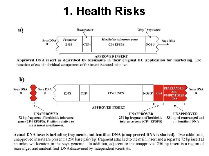 1. Health Risks 