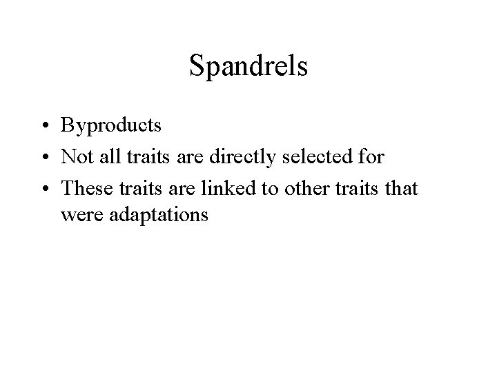 Spandrels • Byproducts • Not all traits are directly selected for • These traits