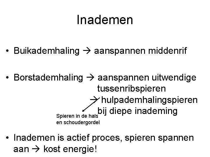 Inademen • Buikademhaling aanspannen middenrif • Borstademhaling aanspannen uitwendige tussenribspieren hulpademhalingspieren bij diepe inademing