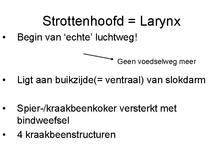 Strottenhoofd = Larynx • Begin van ‘echte’ luchtweg! Geen voedselweg meer • Ligt aan