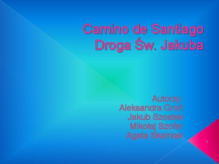 Camino de Santiago Droga Św. Jakuba Autorzy: Aleksandra Groń Jakub Szostek Mikołaj Szofer Agata