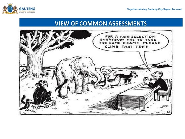 VIEW OF COMMON ASSESSMENTS 