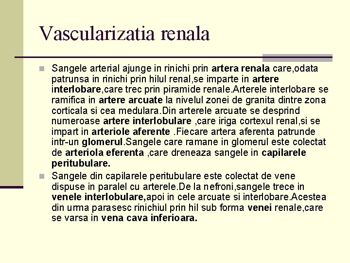 Vascularizatia renala n Sangele arterial ajunge in rinichi prin artera renala care, odata patrunsa