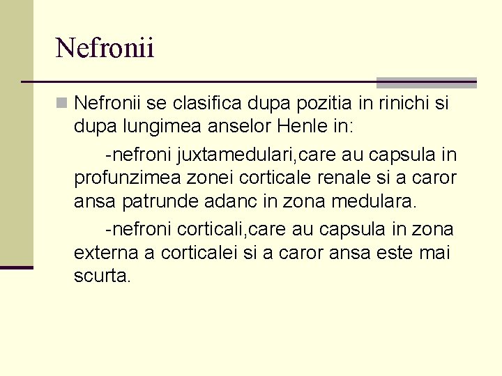 Nefronii n Nefronii se clasifica dupa pozitia in rinichi si dupa lungimea anselor Henle