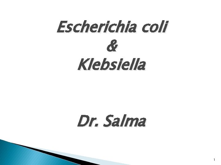Escherichia coli & Klebsiella Dr. Salma 1 