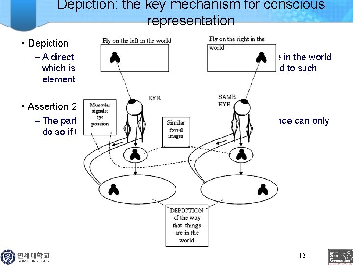Depiction: the key mechanism for conscious representation • Depiction – A direct representation of
