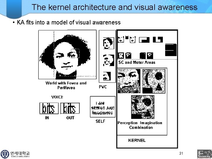 The kernel architecture and visual awareness • KA fits into a model of visual