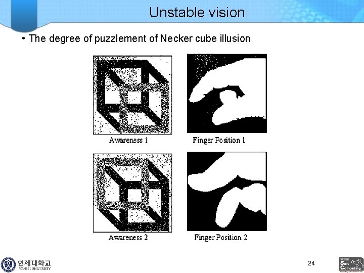 Unstable vision • The degree of puzzlement of Necker cube illusion 24 