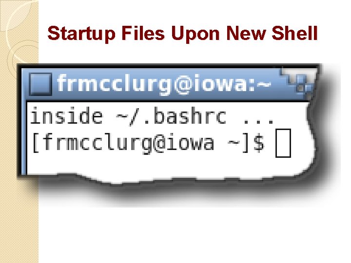 Startup Files Upon New Shell 