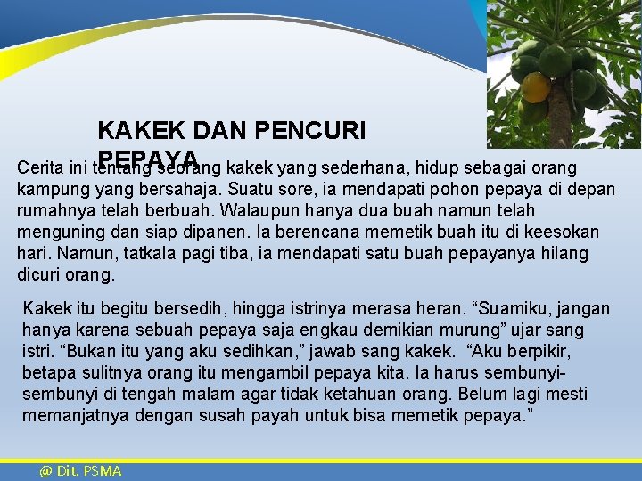 KAKEK DAN PENCURI PEPAYA Cerita ini tentang seorang kakek yang sederhana, hidup sebagai orang