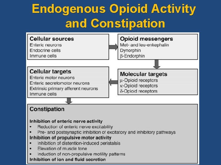 Endogenous Opioid Activity and Constipation 