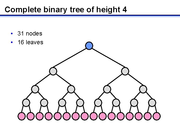 Complete binary tree of height 4 • 31 nodes • 16 leaves 