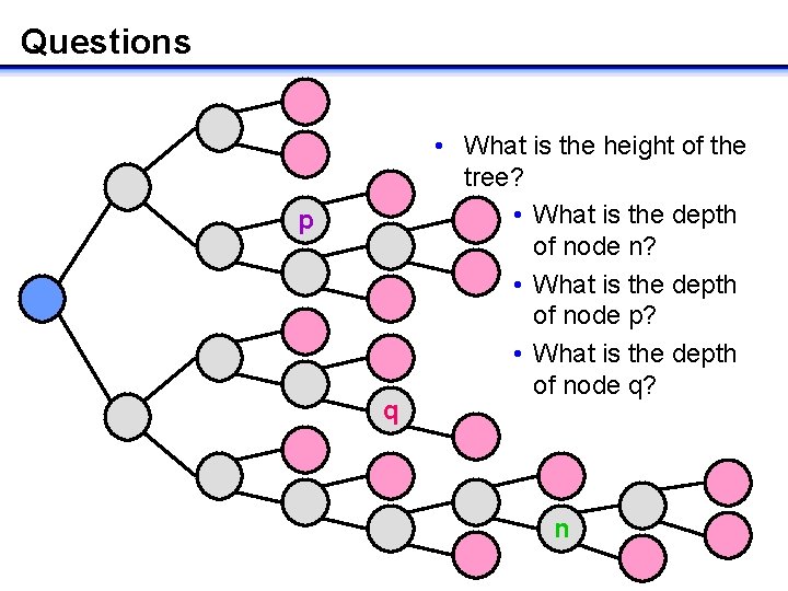 Questions • What is the height of the tree? • What is the depth