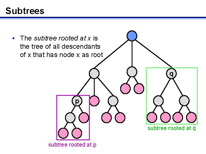 Subtrees • The subtree rooted at x is the tree of all descendants of