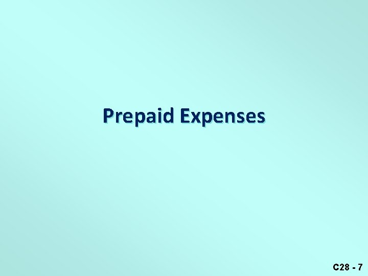 Prepaid Expenses C 28 - 7 