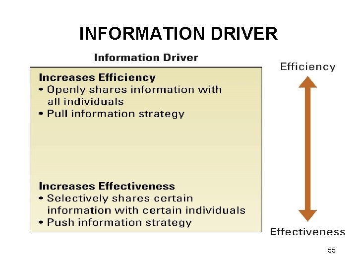 INFORMATION DRIVER 55 