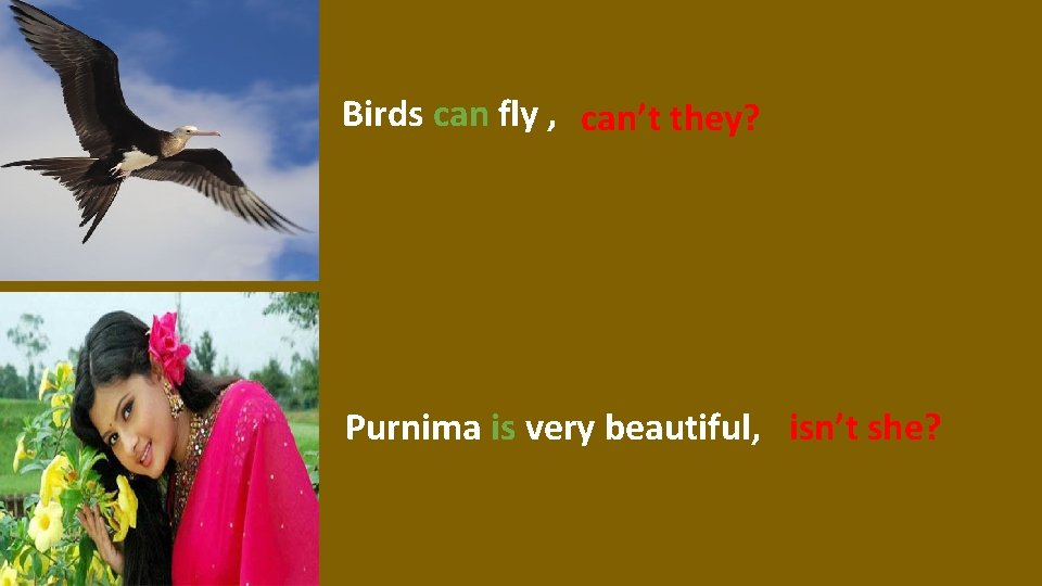 Birds can fly , can’t they? Purnima is very beautiful, isn’t she? 