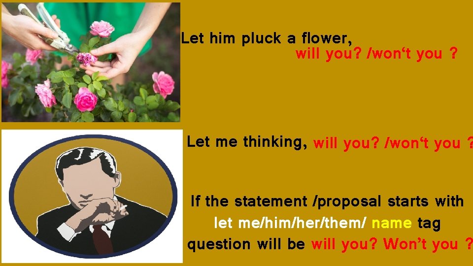 Let him pluck a flower, will you? /won‘t you ? Let me thinking, will