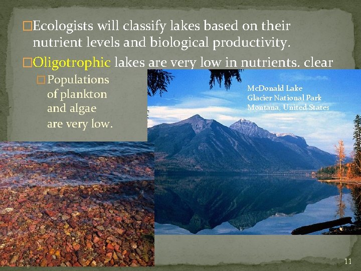 �Ecologists will classify lakes based on their nutrient levels and biological productivity. �Oligotrophic lakes