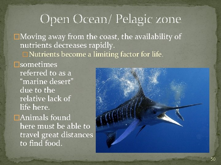 Open Ocean/ Pelagic zone �Moving away from the coast, the availability of nutrients decreases