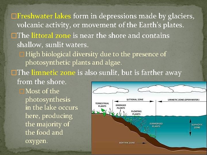 �Freshwater lakes form in depressions made by glaciers, volcanic activity, or movement of the