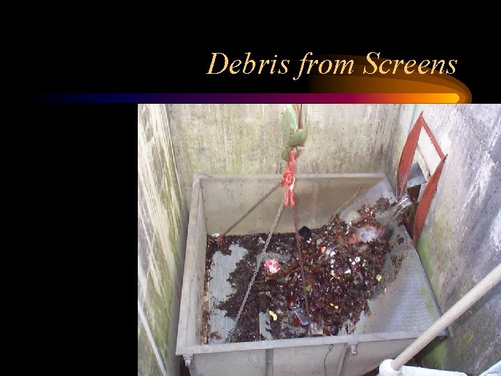 Debris from Screens 