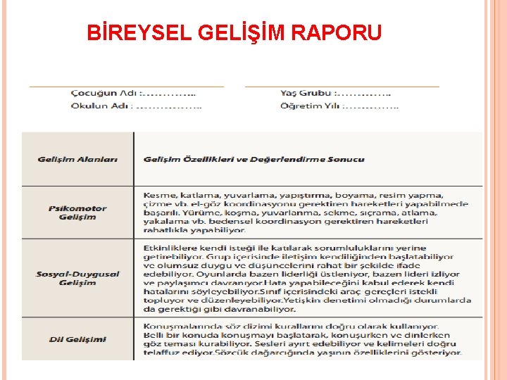BİREYSEL GELİŞİM RAPORU 22 BİREYSEL GELİŞİM RAPORU 22