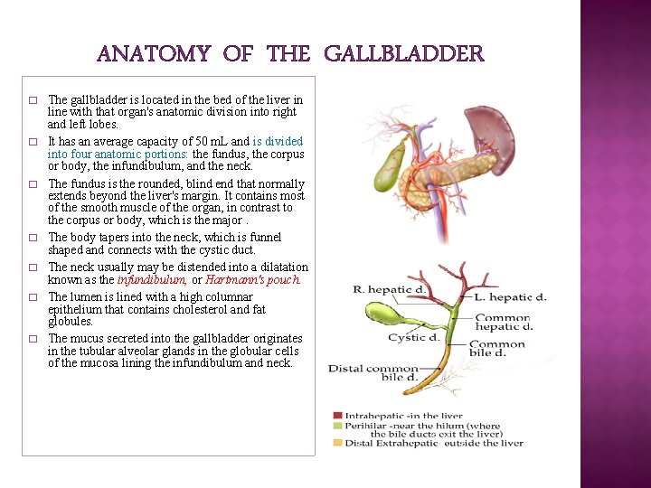 ANATOMY OF THE GALLBLADDER � � � � The gallbladder is located in the ANATOMY OF THE GALLBLADDER � � � � The gallbladder is located in the