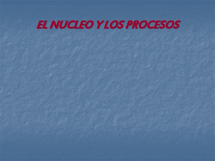 EL NUCLEO Y LOS PROCESOS EL NUCLEO Y LOS PROCESOS