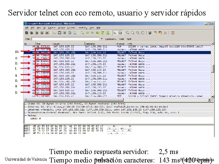 Servidor telnet con eco remoto, usuario y servidor rápidos m o n t a