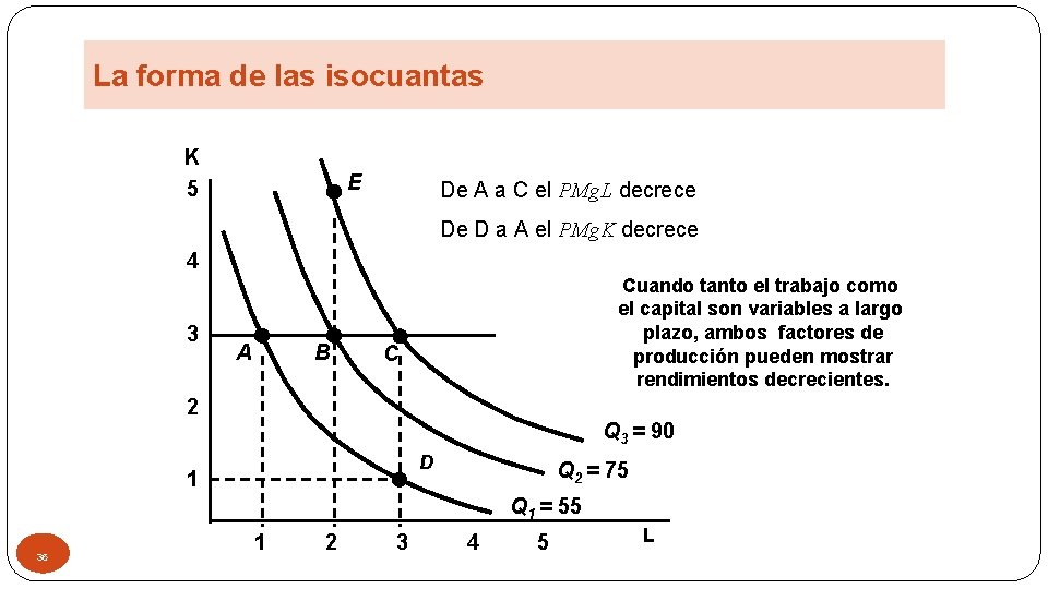 La forma de las isocuantas K 5 E De A a C el PMg.