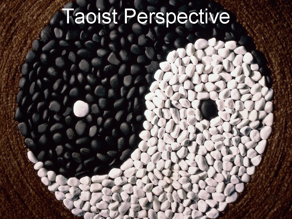 Taoist Perspective 