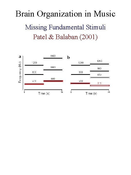 Brain Organization in Music Missing Fundamental Stimuli Patel & Balaban (2001) 