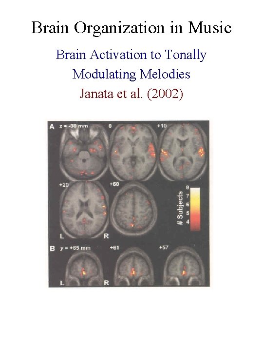 Brain Organization in Music Brain Activation to Tonally Modulating Melodies Janata et al. (2002)