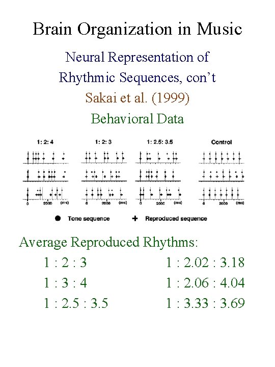Brain Organization in Music Neural Representation of Rhythmic Sequences, con’t Sakai et al. (1999)