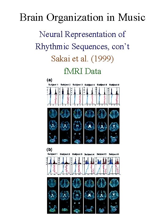 Brain Organization in Music Neural Representation of Rhythmic Sequences, con’t Sakai et al. (1999)