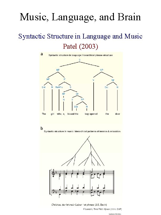 Music, Language, and Brain Syntactic Structure in Language and Music Patel (2003) 