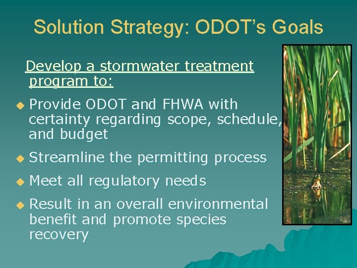 Solution Strategy: ODOT’s Goals Develop a stormwater treatment program to: u Provide ODOT and