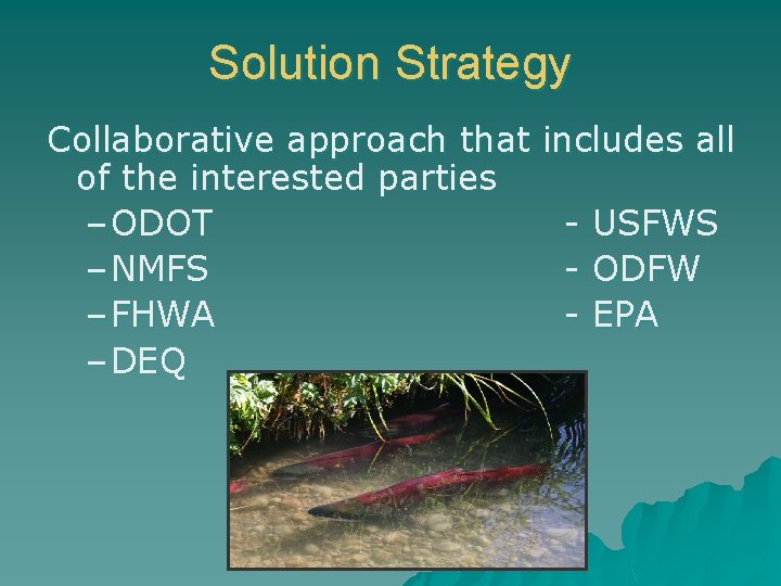 Solution Strategy Collaborative approach that of the interested parties – ODOT – NMFS –