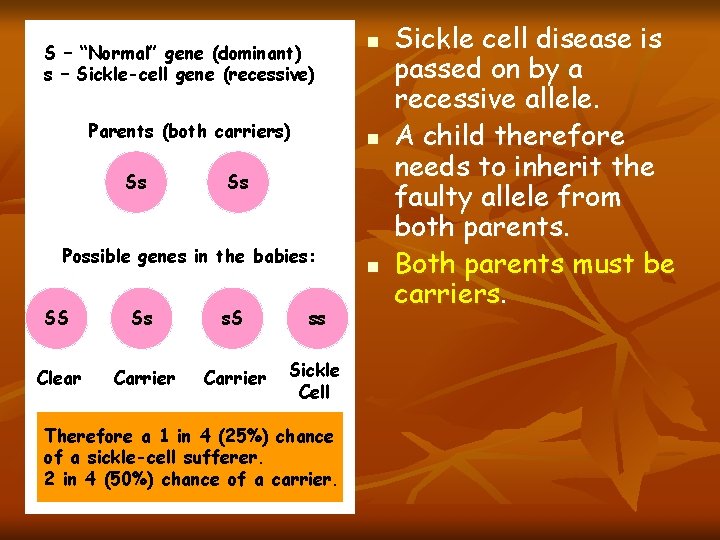 S – “Normal” gene (dominant) s – Sickle-cell gene (recessive) Parents (both carriers) Ss