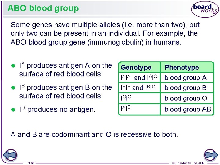 ABO blood group Some genes have multiple alleles (i. e. more than two), but