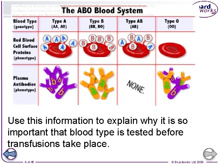 Use this information to explain why it is so important that blood type is