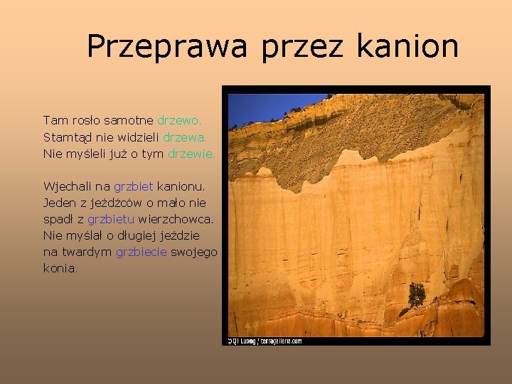 Przeprawa przez kanion Tam rosło samotne drzewo. Stamtąd nie widzieli drzewa. Nie myśleli już