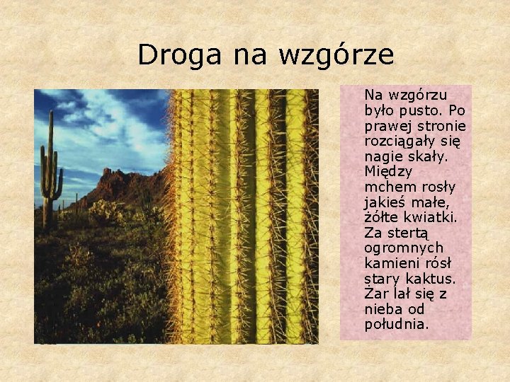 Droga na wzgórze Na wzgórzu było pusto. Po prawej stronie rozciągały się nagie skały.