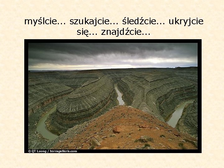 myślcie. . . szukajcie. . . śledźcie. . . ukryjcie się. . . znajdźcie.